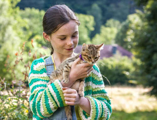 Sinhronizovana priča „Velika avantura mačke Ru“ 7. septembra stiže u domaće bioskope