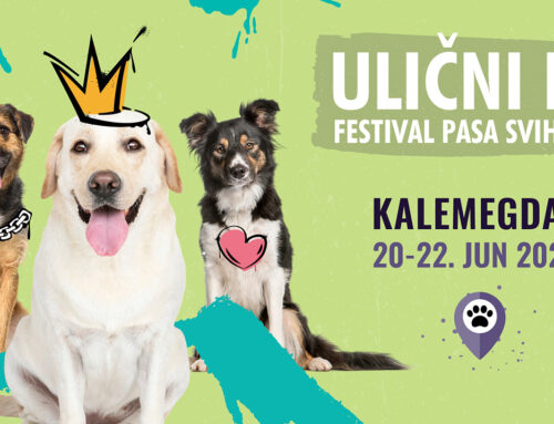 Festival pasa svih rasa „Ulični psi“ tradicionalno na Kalemegdanu