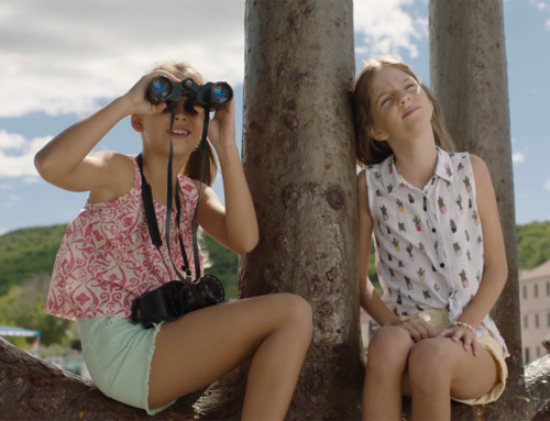 Još jedno porodično ostvarenje stiže u bioskope, film „Bumbarovo ljeto“ na reperotaru od 25 . decembra